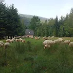 Zielone Wzgórze Dom wakacyjny
