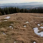 Zielone Wzgórze *