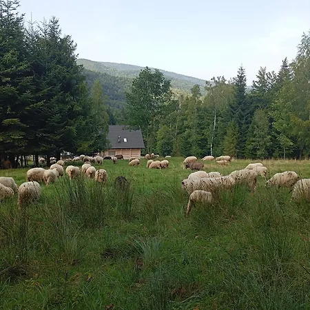 Zielone Wzgorze Ferienhaus
