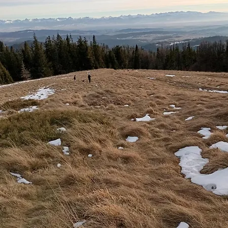 Zielone Wzgórze *