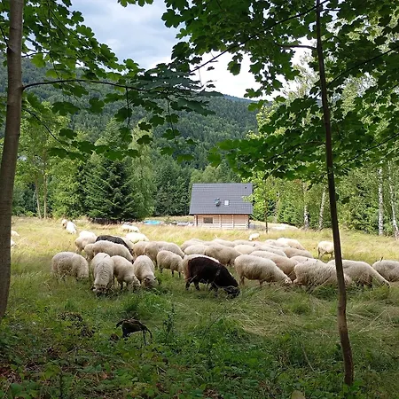 Zielone Wzgorze * Sidzina